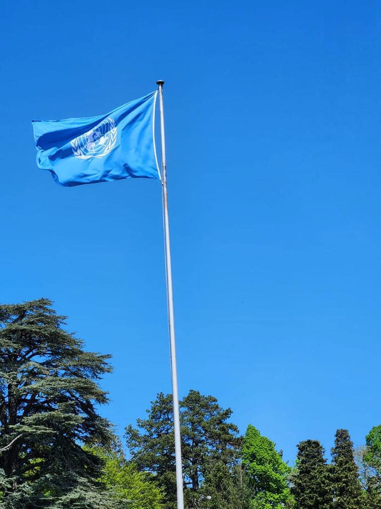 GENEVA CONSILIUL ONU AL DREPTURILOR OMULUI mai 2023 1
